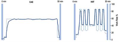 High-Intensity Interval Cycle Ergometer Training in Parkinson's Disease: Protocol for Identifying Individual Response Patterns Using a Single-Subject Research Design